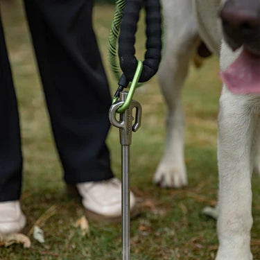 [Tent Tools] Campingmoon K45; 17-inch Dog Tie Out Stake, 360 Swivel Stainless Steel for Pets